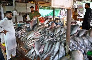 A vendor displaying fish to attract the customers at H-9 Weekly Bazaar in Federal Capital
