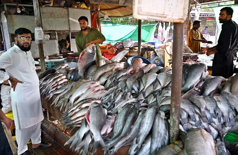 A vendor displaying fish to attract the customers at H-9 Weekly Bazaar in Federal Capital