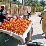 A roadside vendor displays seasonal persimmons to attract passersby in the city