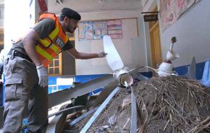 Rescue 1122 worker busy in rescue operation of the roof of a school building caved in, killing 33 children and a female teacher here at Dir Colony.