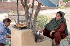 A woman vendor roasts corn cobs at her roadside stall to attract customers on the outskirts of the city.