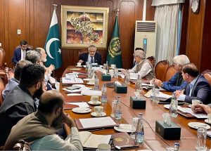 Deputy Prime Minister/Foreign Minister Senator Muhammad Ishaq Dar chairing a high-level committee meeting on the UFG losses of Sui Southern Gas Company Limited (SSGCL)