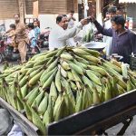A vendor is selling corn to the customers at his setup