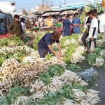 People are busy purchasing radish from Vegetables and Fruit Market at Jhang Road