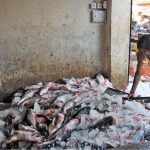 Workers spread ice over fish to keep them fresh at a local fish market