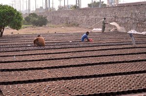 Nursery workers prepare rows of clay pots with soil for planting at a local nursery H-9 in the Federal Capital.