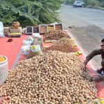 A vendor is displaying and selling dry fruit at his roadside setup