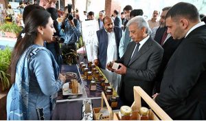 Federal Minister for National Food Security and Research Rana Tanveer Hussain addresses a ceremony marking the inauguration of Pakistan’s first high-tech automatic beeswax foundation sheet preparation unit at the Honeybee Research Institute, NARC