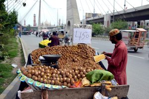 A vendor is putting stickers on kiwis at his roadside setup on Ravi Road.