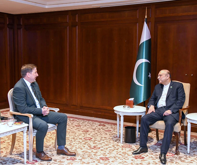 President Asif Ali Zardari in meeting with Mr. Daniel Frisch, Executive Vice-President and Director of Export Sales, Siemens