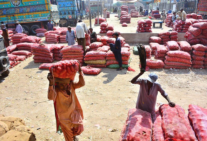 A labourer carries a sack of potatoes at a local vegetable market, where traders display their stocks for sale
