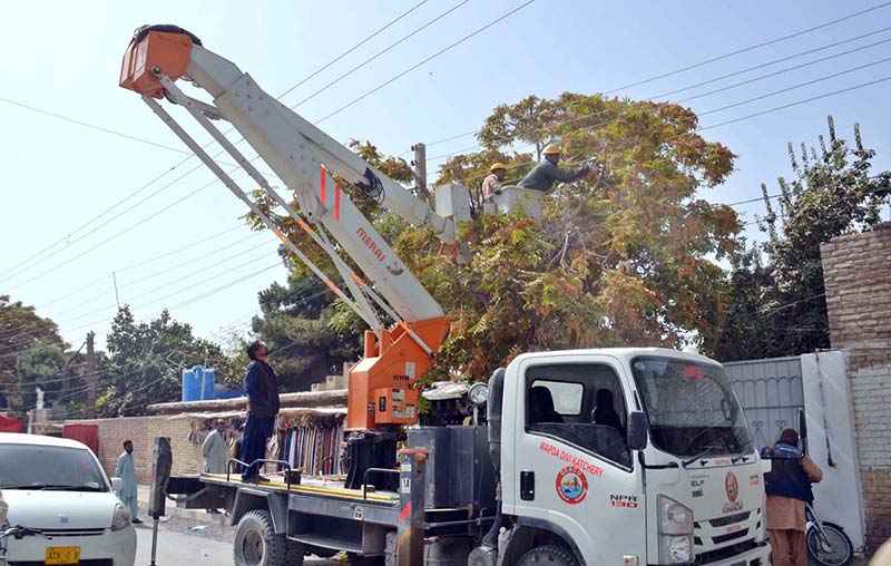 QESCO personnel busy to cut trees which touched electric wires creating problems for power supply at Pishin stop