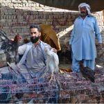 Man purchasing country hen from a vendor at Meezan Chowk