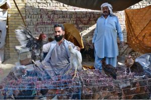 Man purchasing country hen from a vendor at Meezan Chowk