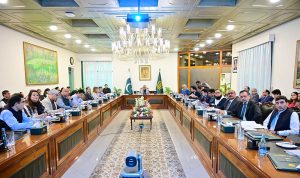 Deputy Prime Minister/Foreign Minister Senator Mohammad Ishaq Dar chairing a meeting of the Executive Committee of the National Economic Council (ECNEC), at the Ministry of Foreign Affairs.