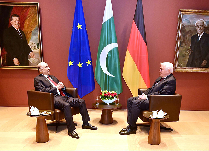 President Asif Ali Zardari in a meeting with German President Dr. Frank-Walter Steinmeier at the Office of the President