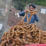 A vendor displays fresh figs on a handcart to attract customers at Kachhari Chowk