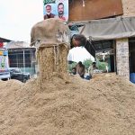 A worker busy in unloading rice crop at Grain market in the city