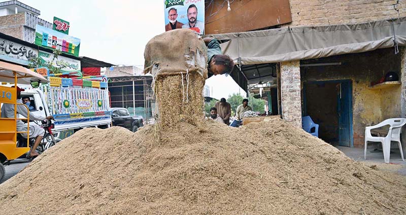 A worker busy in unloading rice crop at Grain market in the city
