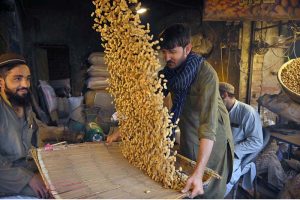 A labourer cleaning peanuts in a traditional way at Firdous Market