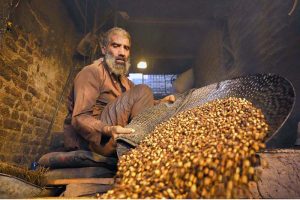 A labourer cleaning peanuts in a traditional way at Firdous Market