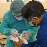 China’s vaccine assistance strengthens Pakistan’s livestock disease-control efforts