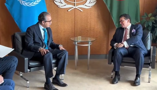 Outgoing Ambassador Asim Iftikhar Ahmad pays farewell call on UNGA president