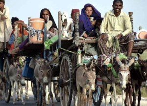 Pakhiwas: The wandering families who call the boundless open sky their home