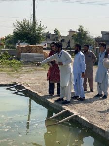 Dengue prevention messages sent to Islamabad residents